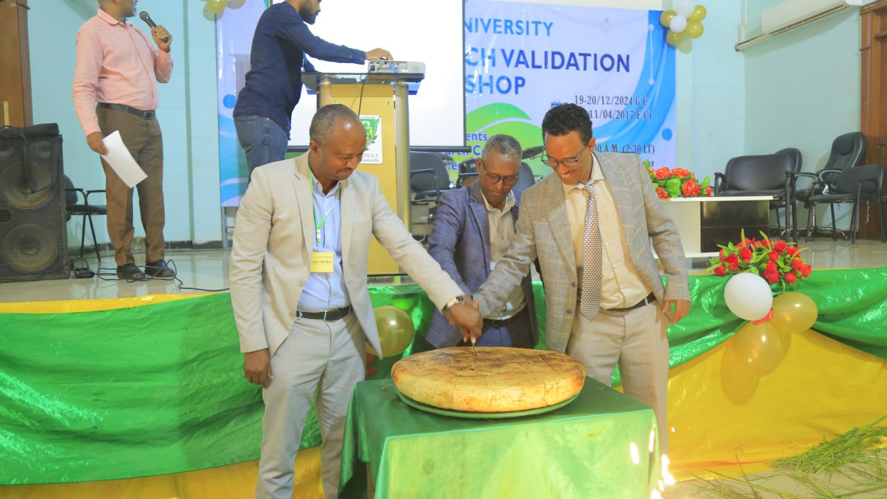 Dilla University Held Its Annual Research Validation Workshop