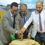 Dilla University Hosts Annual Research Validation Workshop