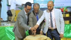 Dilla University Hosts Annual Research Validation Workshop